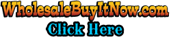 Click Here To Visit WholesaleBuyItNow.com