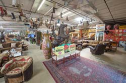 Saddleblanket_DSC4327