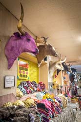 Saddleblanket_DSC4353