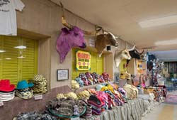 Saddleblanket_DSC4354