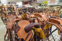 Saddleblanket_DSC4418