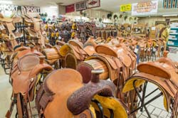 Saddleblanket_DSC4421