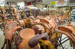 Saddleblanket_DSC4422