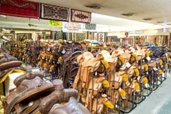 Saddleblanket_DSC4426