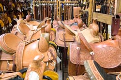 Saddleblanket_DSC4427