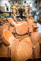 Saddleblanket_DSC4428