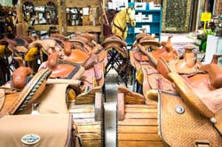 Saddleblanket_DSC4431