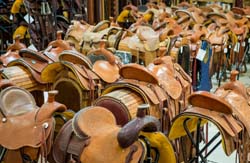 Saddleblanket_DSC4443