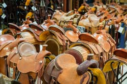 Saddleblanket_DSC4444